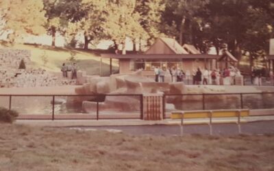 Do you know the history of the Owen Sea Lion Pavilion?